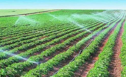 我要操逼网。农田高 效节水灌溉